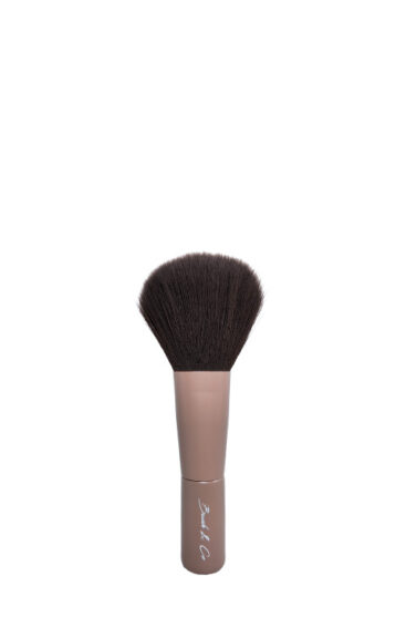 mini blush brush